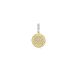 The Zodiac Clip On Charm, a gold charm with the Aquarius zodiac symbol and cubic zirconia accents. ||| AQUARIUS/MIX