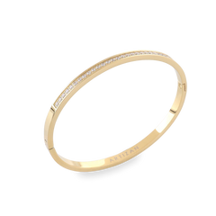 The DUST BANGLE, which is a single gold bracelet, features a sleek and minimalistic design adorned with a row of sparkling stones for an added touch of elegance. This timeless piece is perfect for layering or wearing solo, offering a refined and versatile look. ||| GOLD