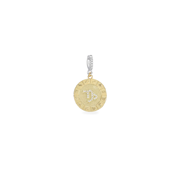 The Zodiac Clip On Charm, a gold charm with the Capricorn zodiac symbol and cubic zirconia accents. ||| CAPRICORN/MIX