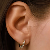 The Prong Hoops, which are a pair of dainty gold hoop earrings, feature sparkling prong-set crystals that add a touch of elegance and subtle shine. These versatile earrings are perfect for everyday wear or layering with other pieces to create a sophisticated, modern look. ||| GOLD