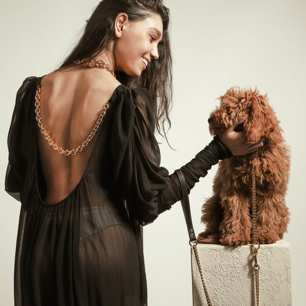 Model wearing a black backless sheer dress holding her dog wearing The STYLEASH DOG COLLAR & LEASH which is made of a 36" long Stainless steel gold plated chain and a leather handle.